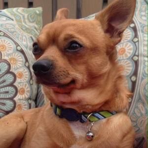 Meet your Posher, Barbara